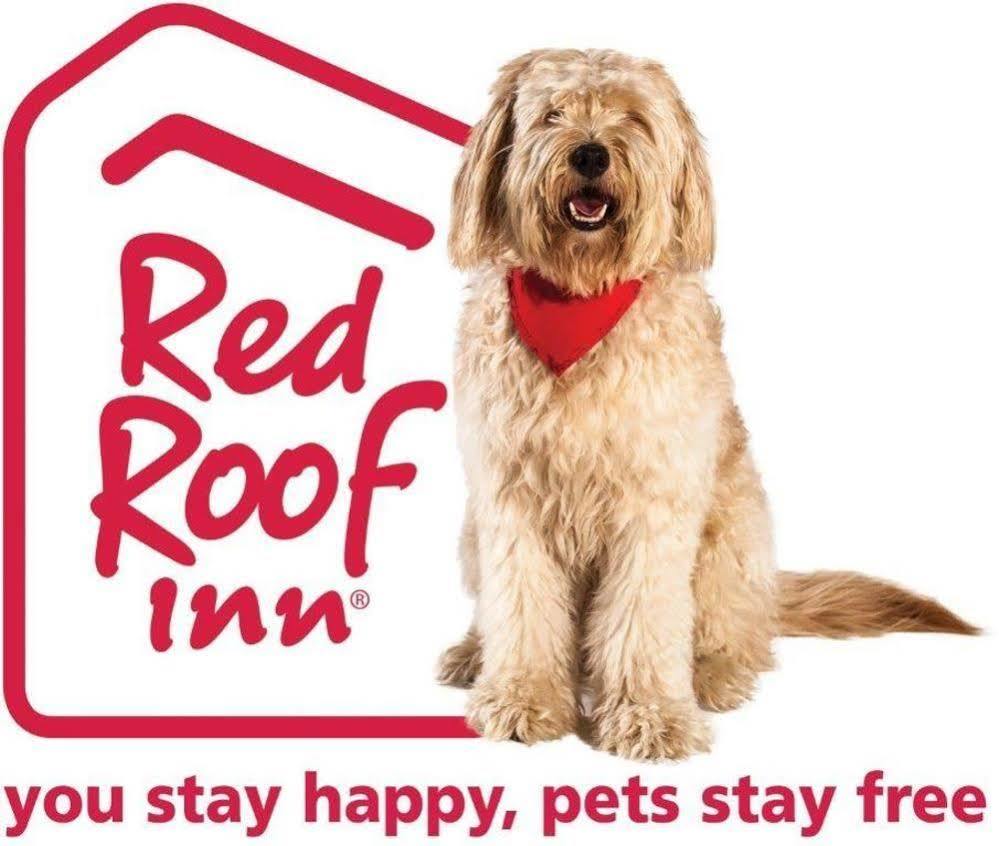 Red Roof Inn Plus+ Tempe - Phoenix Airport Exteriör bild